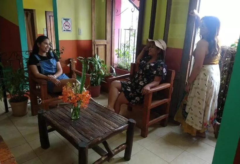 ベッドアンドブレックファースト Posada Jardin Huasteca Xilitla