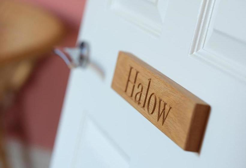 ベッドアンドブレックファースト Sennen Rise