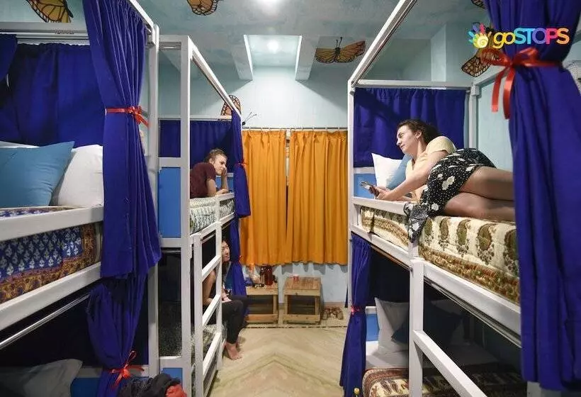 Gostops Agra   Hostel