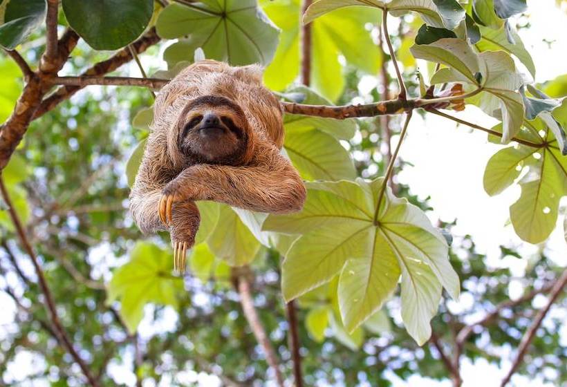 فندق Jg Expeditions Tours