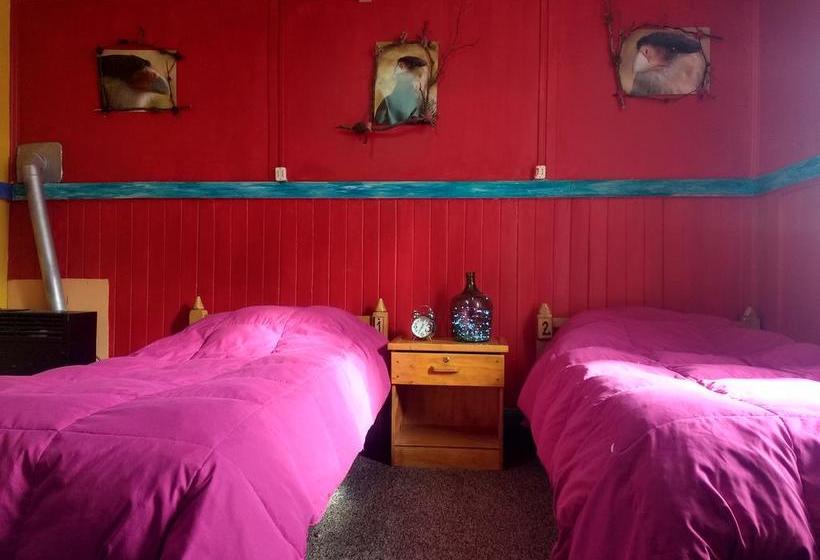 Casa Lili Backpackers Hostel