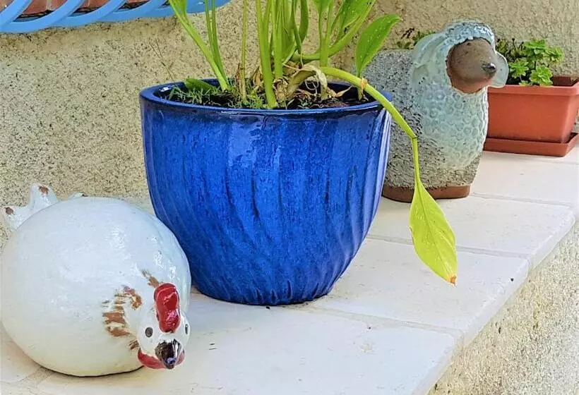 B&b With Charm, Quiet, Kitchen, Sw Pool