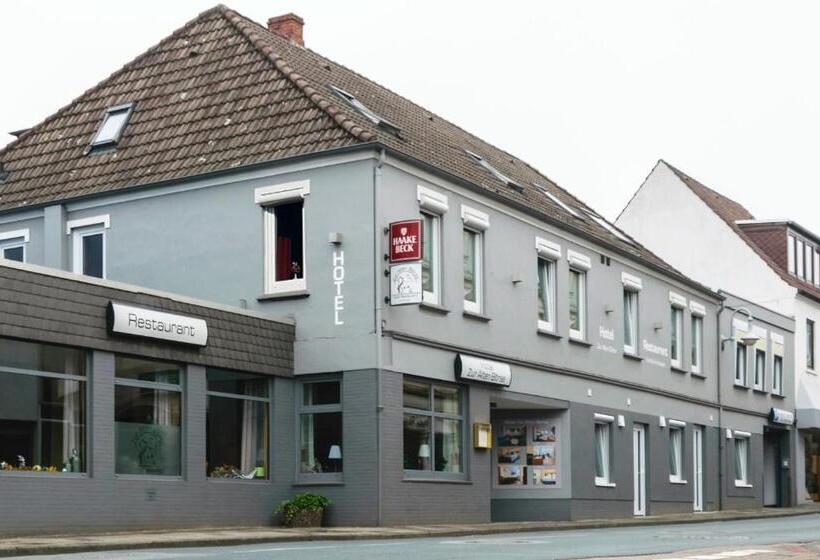 酒店 Zur Alten Börse