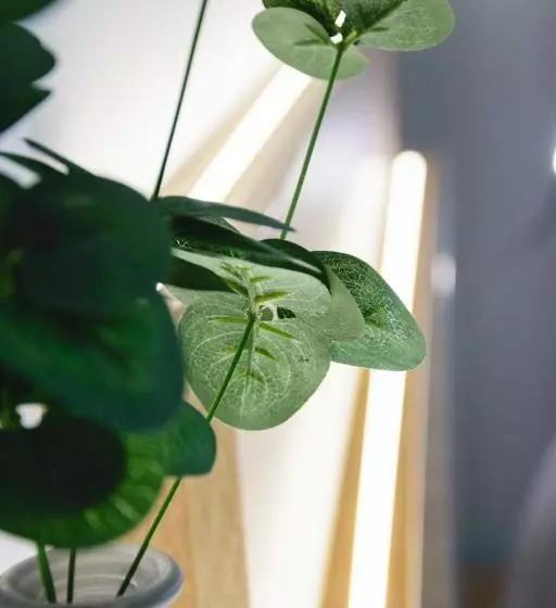 Hotelli Zur Alten Börse