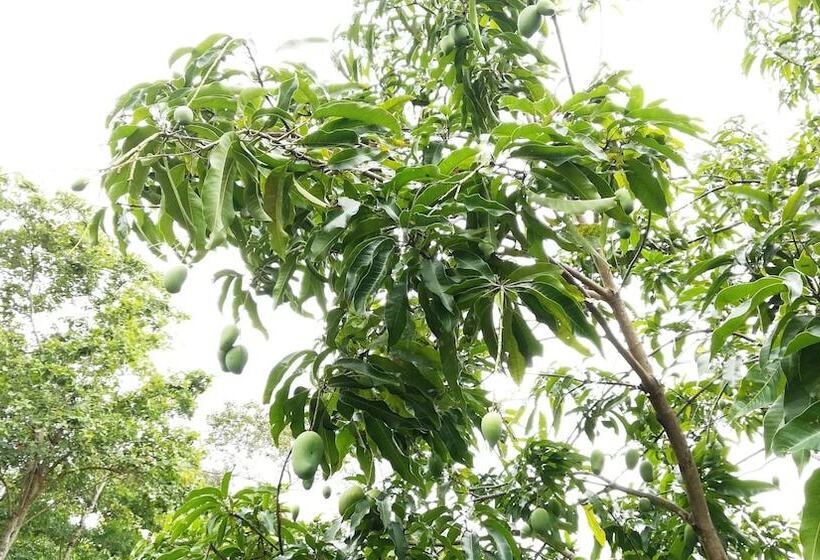 Resort Otel Araliya Self Cooking Hostel