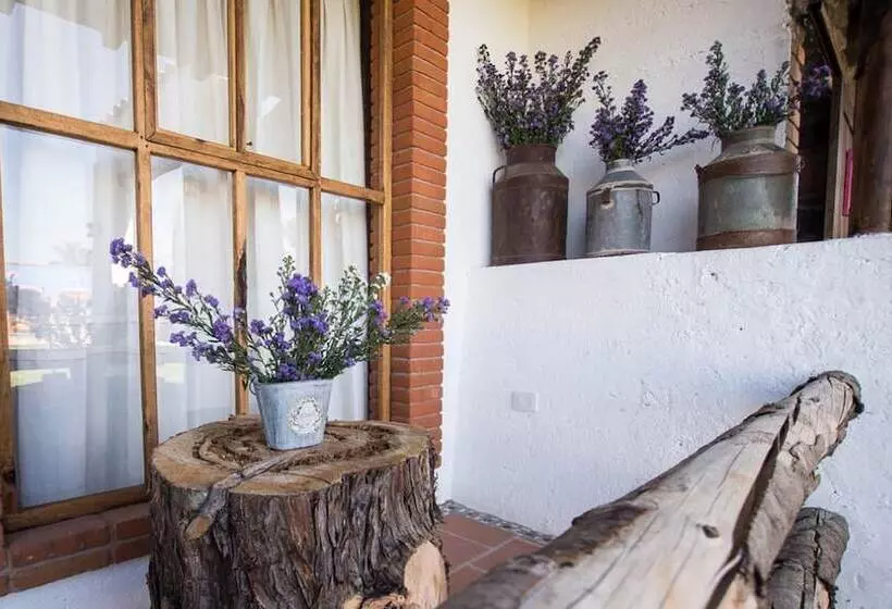 ホテル Boutique Rincon Sagrado