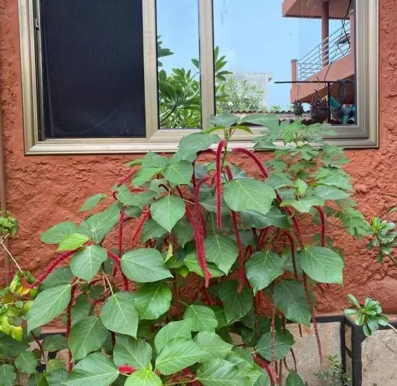 هتل Résidences Ouadada