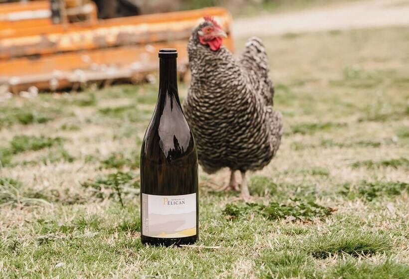 צימר Domaine De Pelican