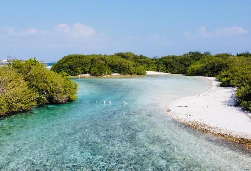 تختخواب و صبحانه Iru Maldives