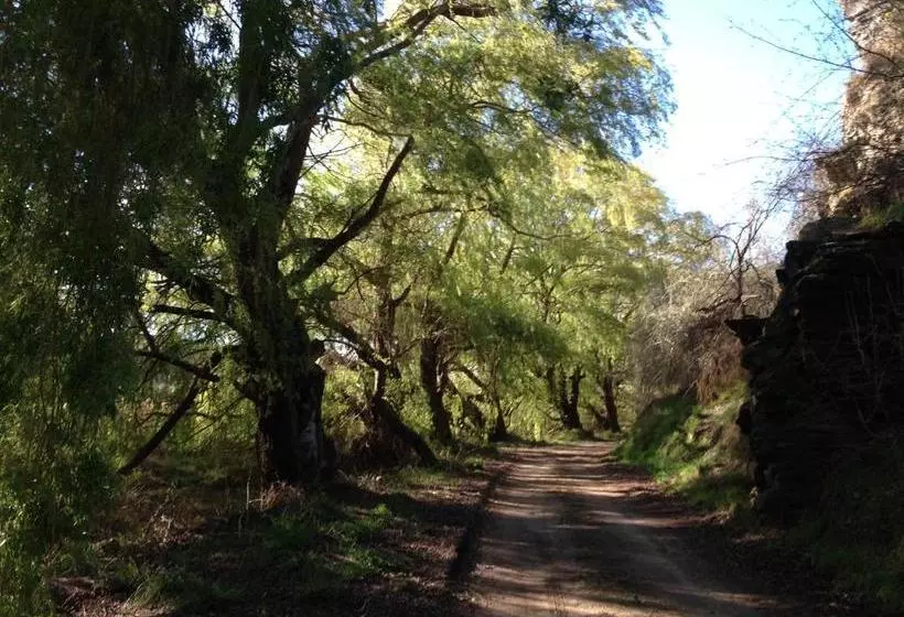 تختخواب و صبحانه Lye Bow Lake Suite