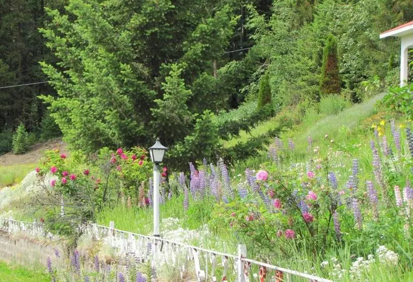 モーテル High Country Inn