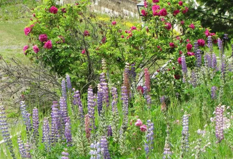 モーテル High Country Inn