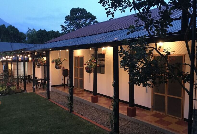 Tunik Hostel Adults Only