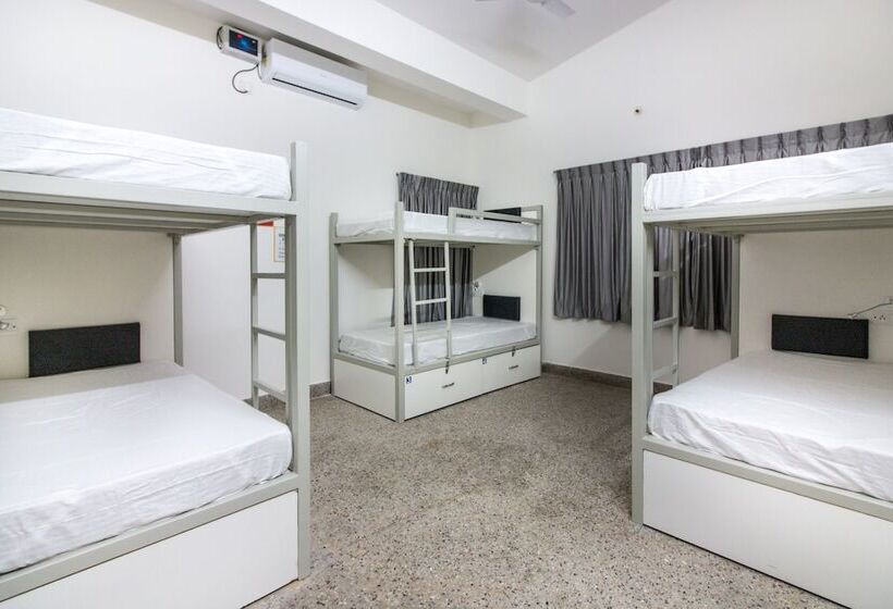 Alberg Backpacker Panda Bengaluru