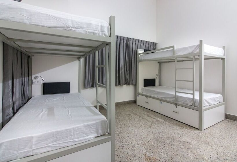 Alberg Backpacker Panda Bengaluru