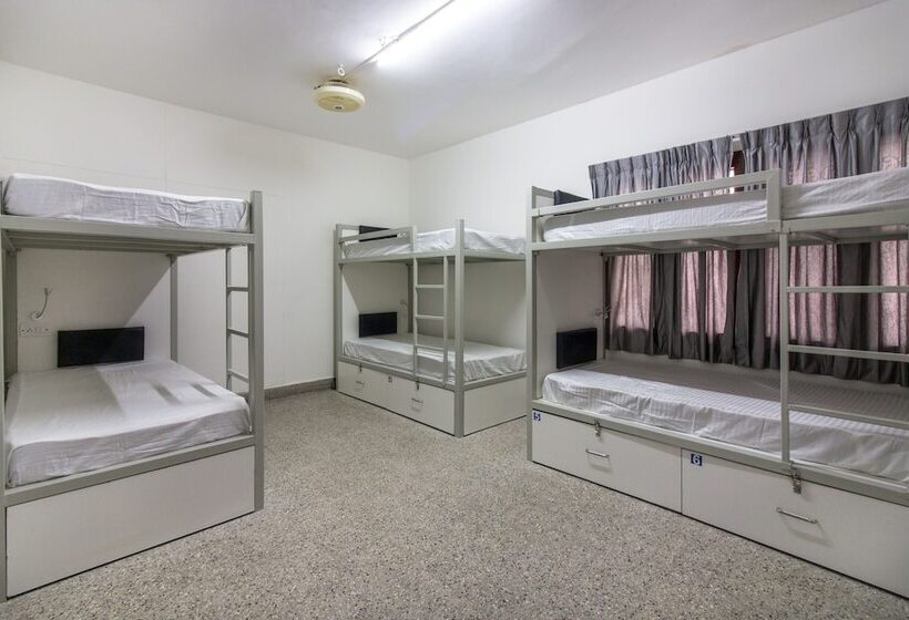 Alberg Backpacker Panda Bengaluru