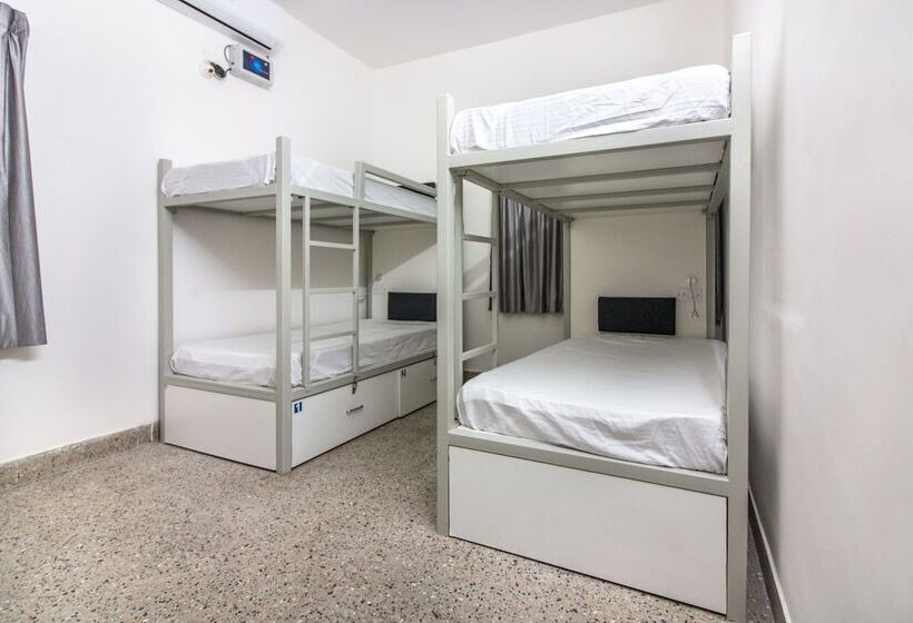 Alberg Backpacker Panda Bengaluru