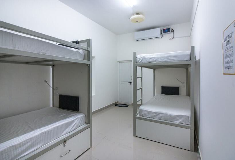 Alberg Backpacker Panda Bengaluru