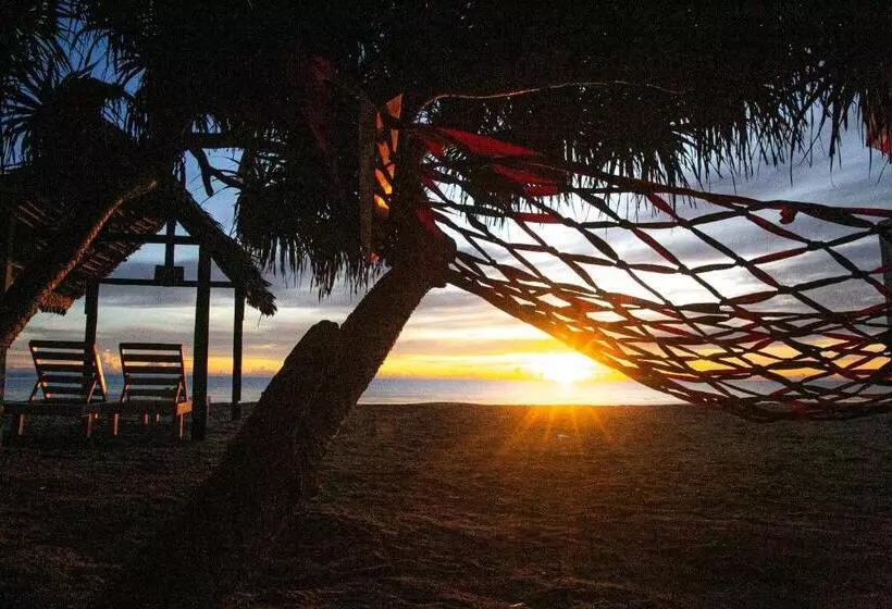 Hotelli Nn Beach Resort & Spa