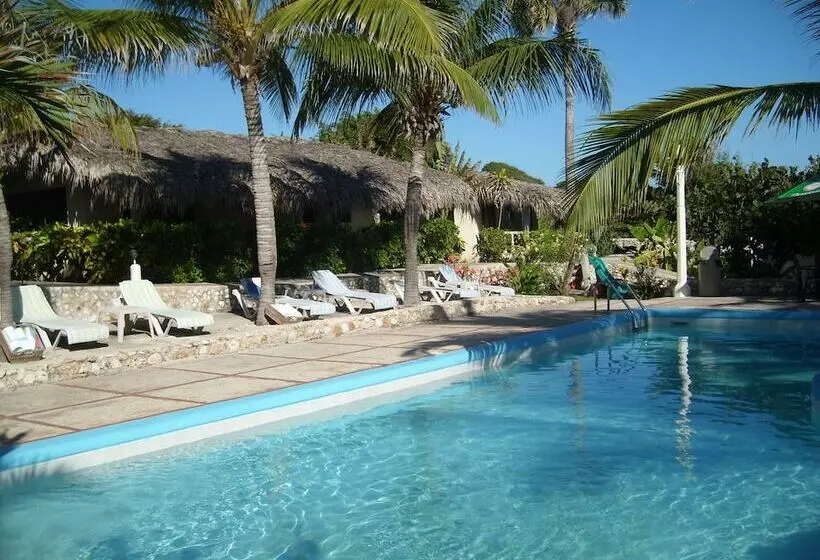 Hotel Playazul