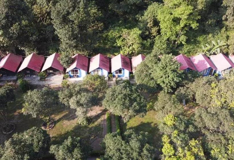 Pebbles Resort