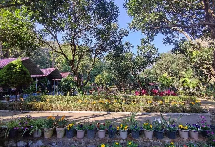 Pebbles Resort