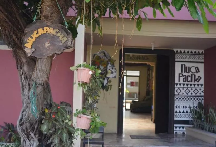 Hostel Nucapacha