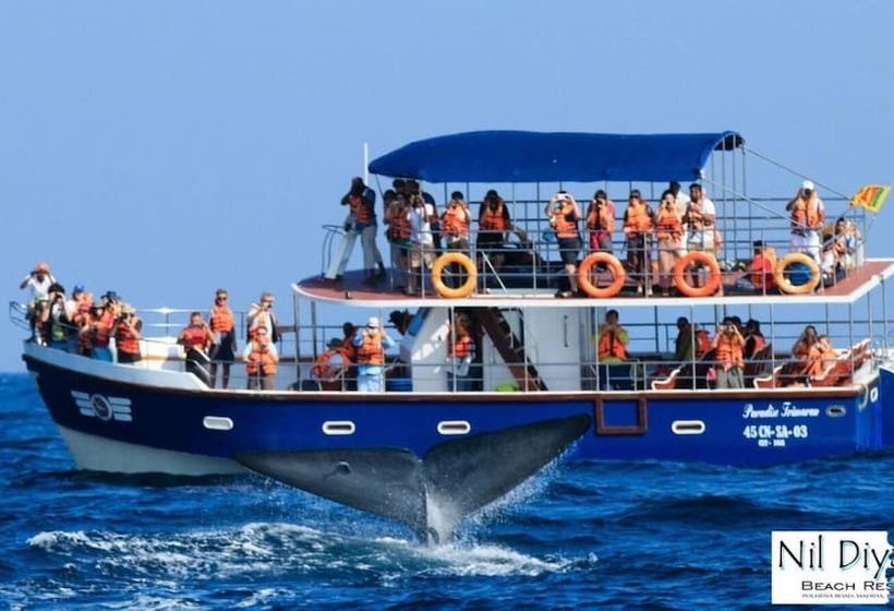 호텔 Nil Diya Beach Resort