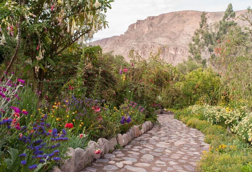 فندق Willka T'ika