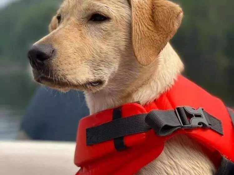 Mattawa River Resort