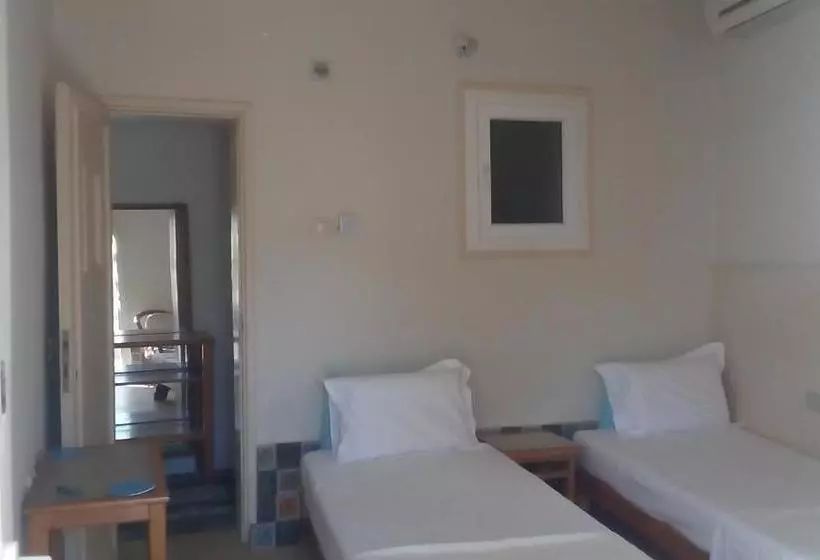 هاستل Tarbouche House Dahab