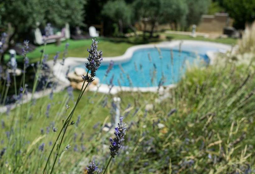 ベッドアンドブレックファースト Loustalet Des Marres