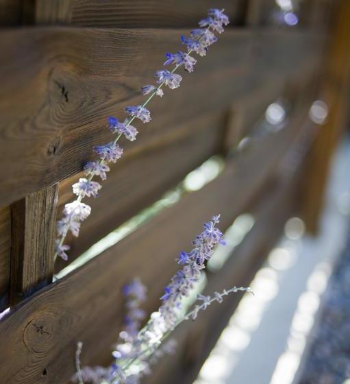 Bed and Breakfast Loustalet Des Marres