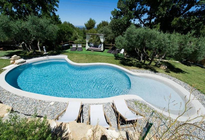 ベッドアンドブレックファースト Loustalet Des Marres