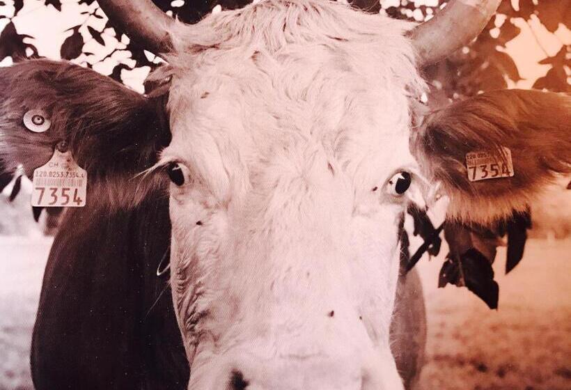 酒店 Auberge De L Assesseur   Mont Soleil