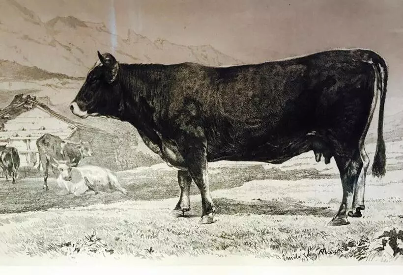 ホテル Auberge De L Assesseur   Mont Soleil