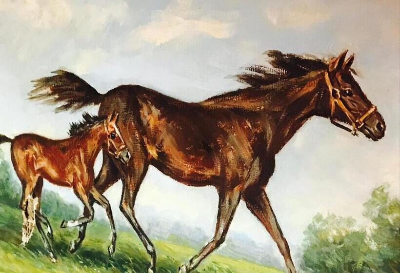 酒店 Auberge De L Assesseur   Mont Soleil