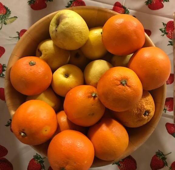 ユースホステル Rifugio Escursionistico La Ruà