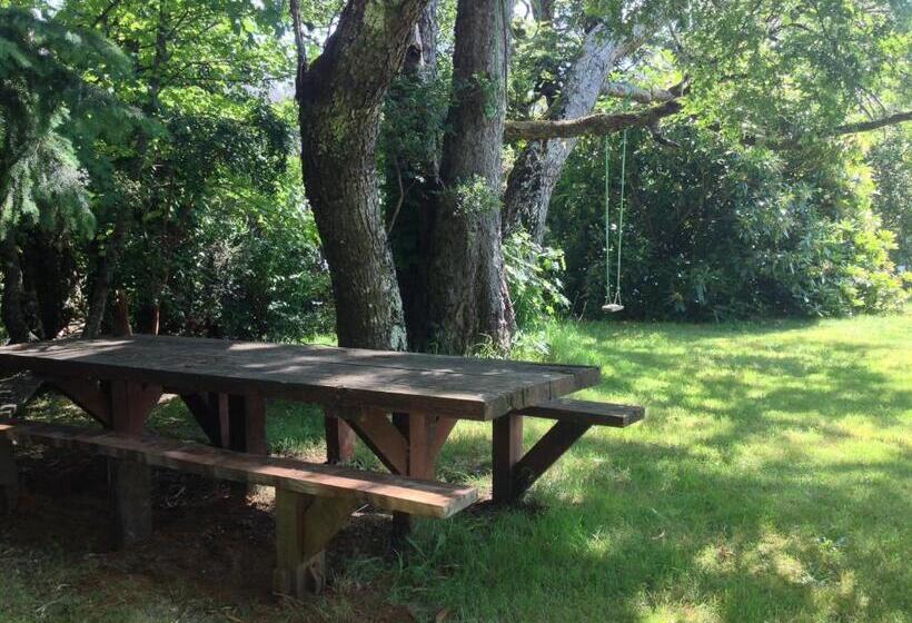 Bed and Breakfast Casa Río Vivo