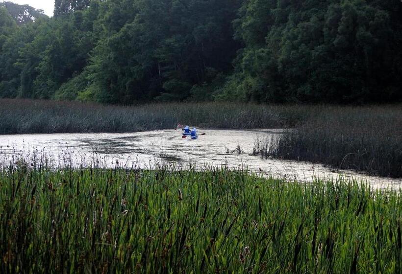 Bed and Breakfast Casa Río Vivo