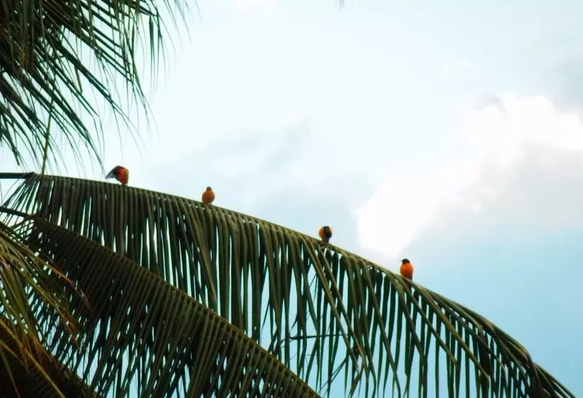 هتل El Jardin