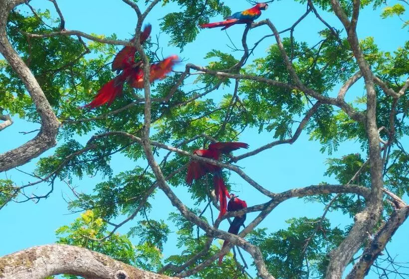 هتل El Jardin