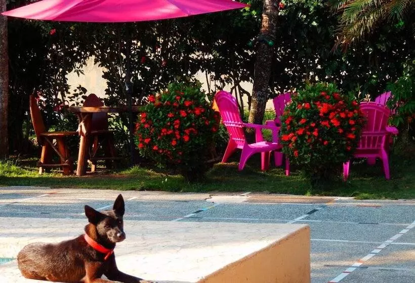 هتل El Jardin