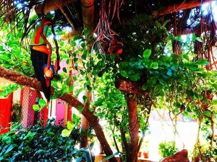 هتل El Jardin