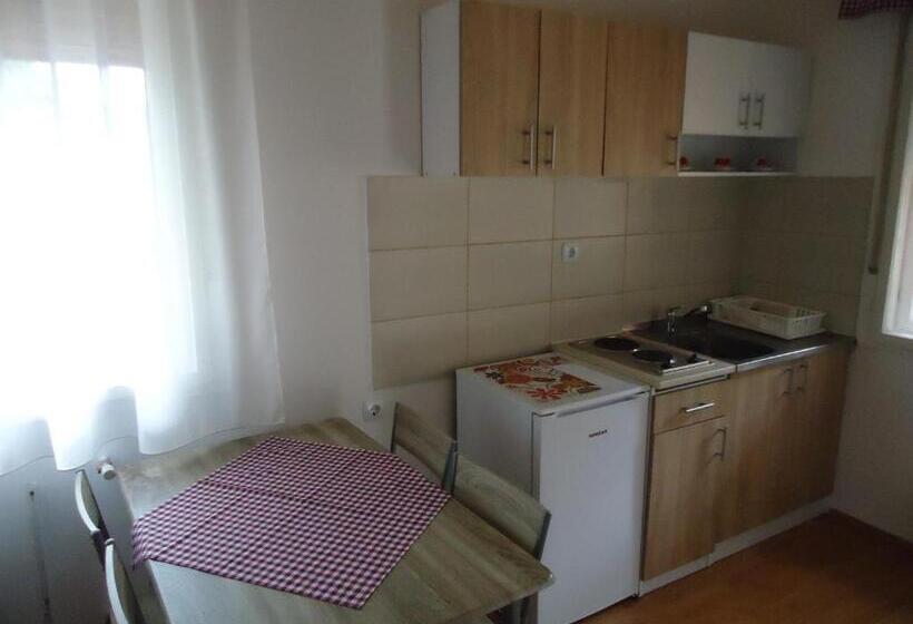 تختخواب و صبحانه Prenoćište Vila Stara Breza