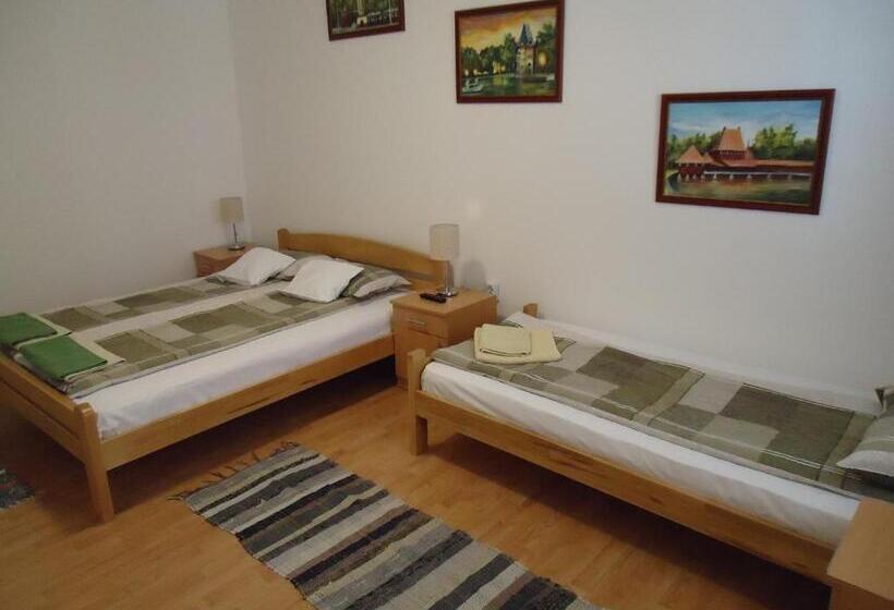 تختخواب و صبحانه Prenoćište Vila Stara Breza