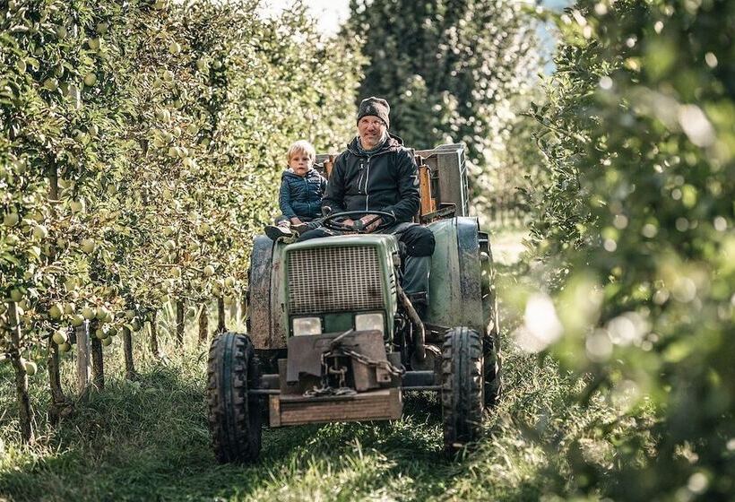 Biohotel Theiner S Garten