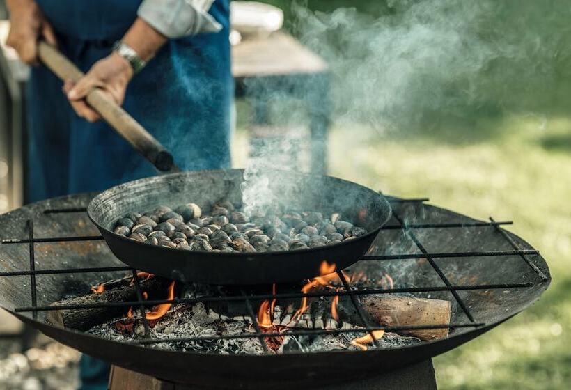 Biohotel Theiner S Garten