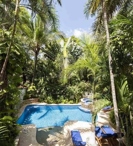 Casa Sueca Hotel   At The Beach