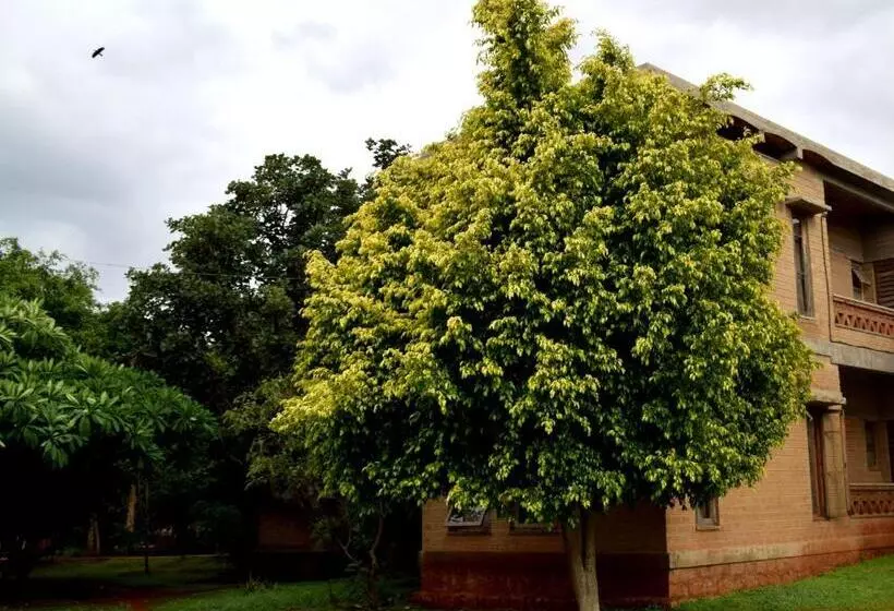 リゾートホテル Our Native Village